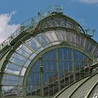 Palmenhaus (Burggarten)