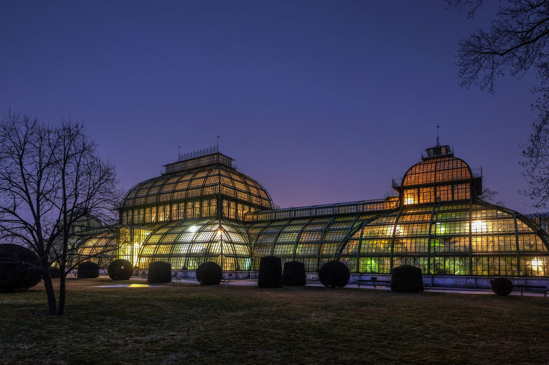 Palmenhaus