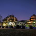 Palmenhaus