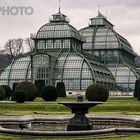 Palmenhaus