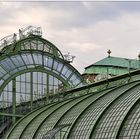 Palmenhaus