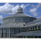 Palmenhaus Detail - Kopenhagen