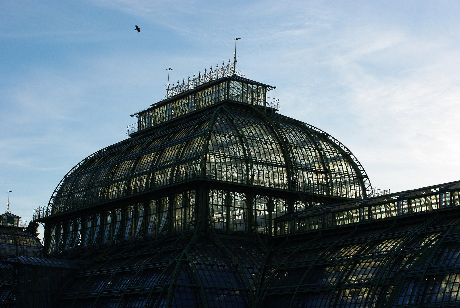 Palmenhaus