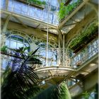 Palmenhaus