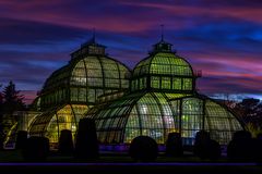 Palmenhaus II