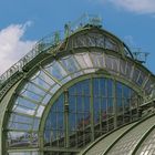 Palmenhaus im Burggarten