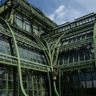 Palmenhaus im Park Schloss Schönbrunn