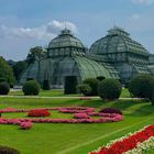 PALMENHAUS IM PARK SCHÖNBRUNN