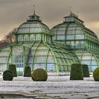 PALMENHAUS im Schlossgarten SCHÖNBRUNN