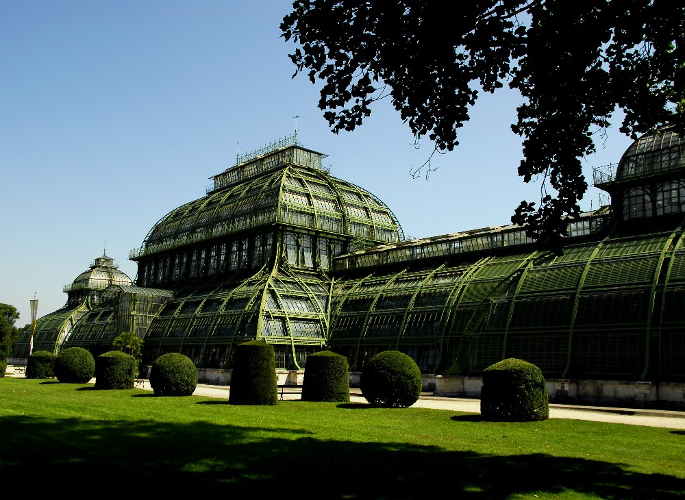 Palmenhaus im Schloßpark Schönbrunn (Wien)