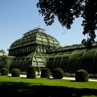 Palmenhaus im Schloßpark Schönbrunn (Wien)