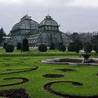 Palmenhaus im Schloßpark Schönbrunn, Wien