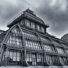 Palmenhaus im Schlosspark Schönbrunn, Wien