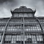 Palmenhaus im Schlosspark Schönbrunn, Wien (2)