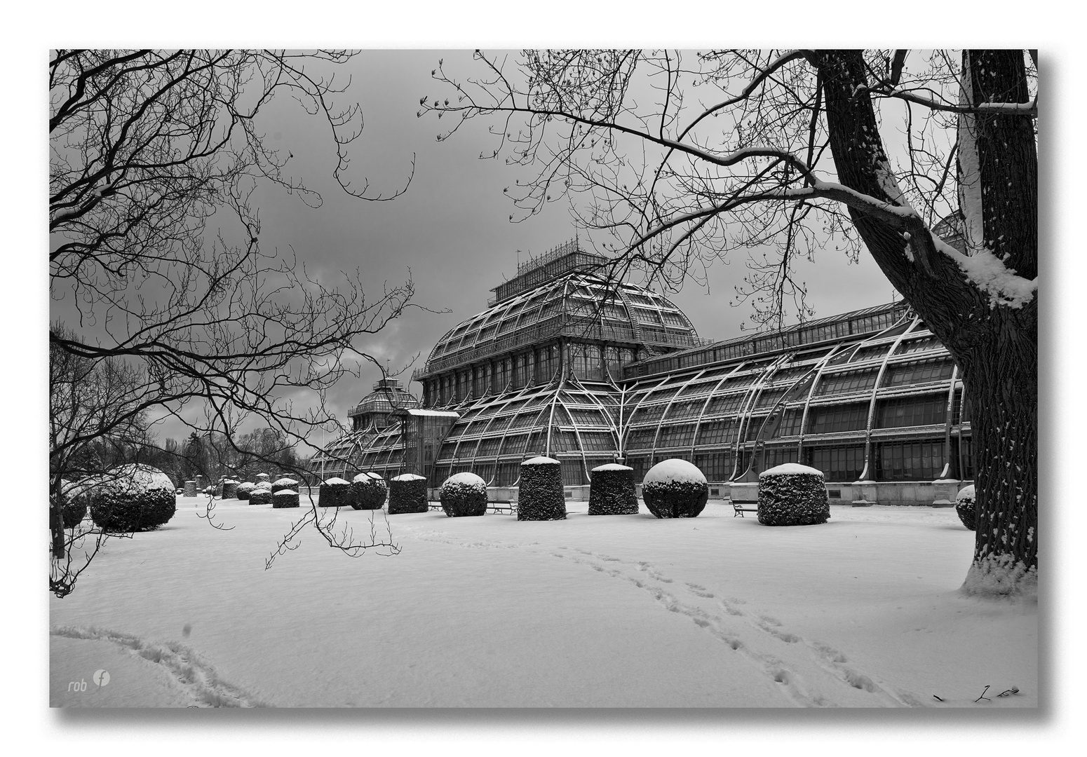 Palmenhaus im Schnee