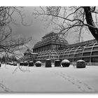 Palmenhaus im Schnee