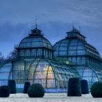 Palmenhaus in der Dämmerung