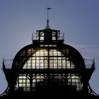 Palmenhaus in Schönbrunn