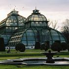 Palmenhaus in Schönbrunn