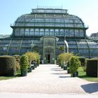 Palmenhaus in Wien Schloss Schönbrunn