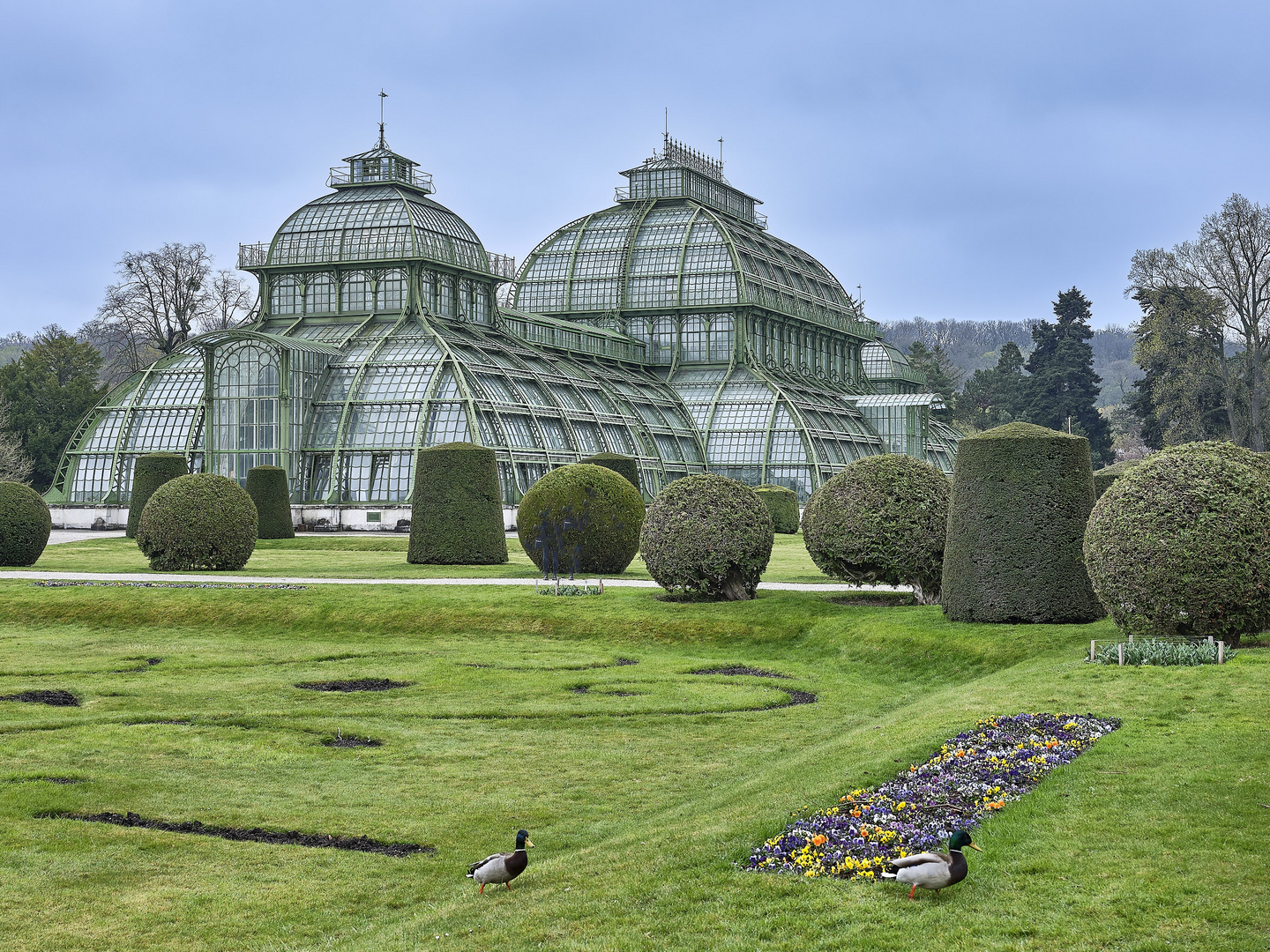 Palmenhaus in Wien Schönbrunn