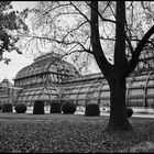 Palmenhaus in Wien Schönbrunn 