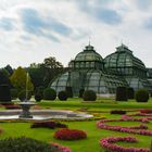 Palmenhaus in Wien Schönbrunn