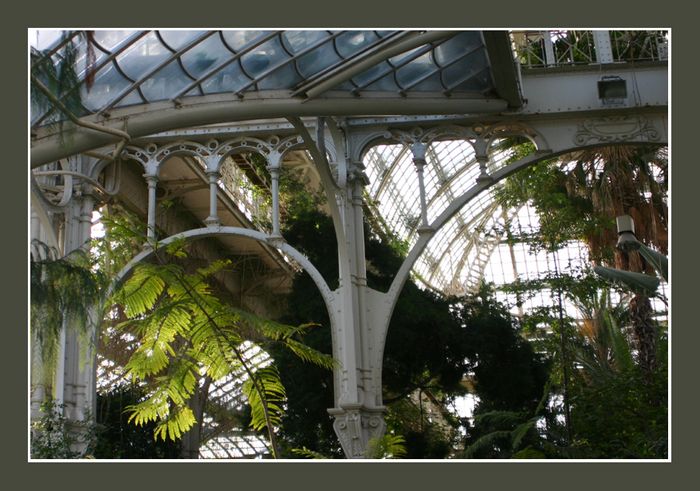 Palmenhaus innen