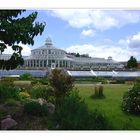 Palmenhaus - Kopenhagen