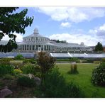 Palmenhaus - Kopenhagen