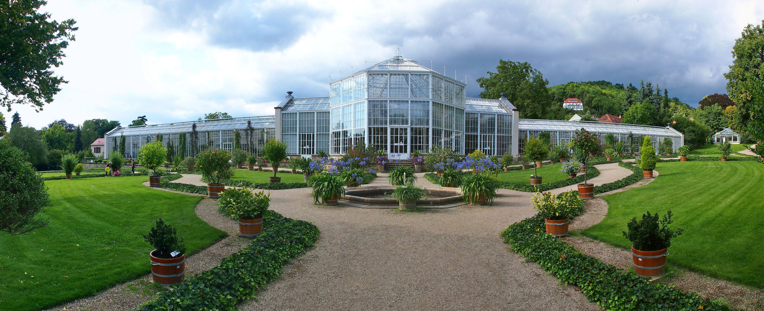 Palmenhaus - Pillnitzer Schloßgarten