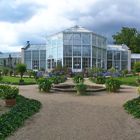 Palmenhaus - Pillnitzer Schloßgarten