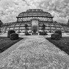 Palmenhaus - Schloss Schönbrunn