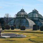 Palmenhaus Schloss Schönbrunn_1