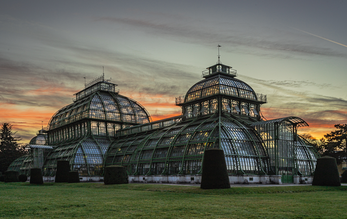 PALMENHAUS SCHÖNBRUNN 