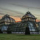 PALMENHAUS SCHÖNBRUNN 