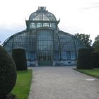 Palmenhaus, Schönbrunn