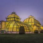  Palmenhaus Schönbrunn 