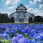 Palmenhaus Schönbrunn