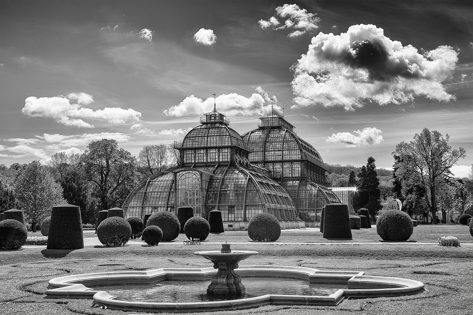 Palmenhaus, Schönbrunn