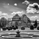 Palmenhaus, Schönbrunn