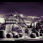 Palmenhaus Schönbrunn