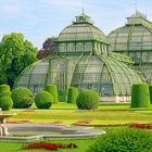 Palmenhaus Schönbrunn in Wien