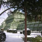 "Palmenhaus": Serre du parc de Schönbrunn