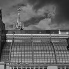 Palmenhaus Wien 2