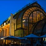 palmenhaus zur blauen stunde