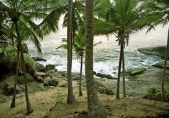 Palmenküste, Kerala