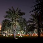 Palmenpark mit Minarett der Al Noor Moschee in Sharjah V.A.E.