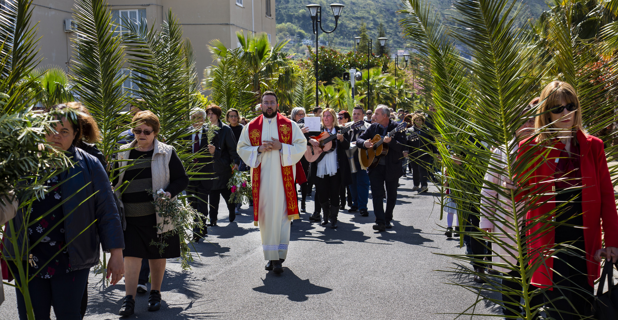 Palmenprozession am Palmsonntag in Kalabrien Foto & Bild | italy, world