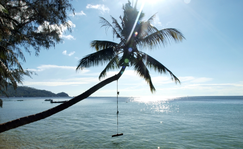 Palmenschaukel im Paradies